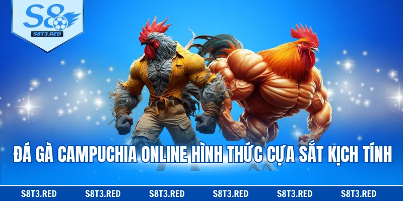 Đá gà Campuchia online hình thức cựa sắt kịch tính