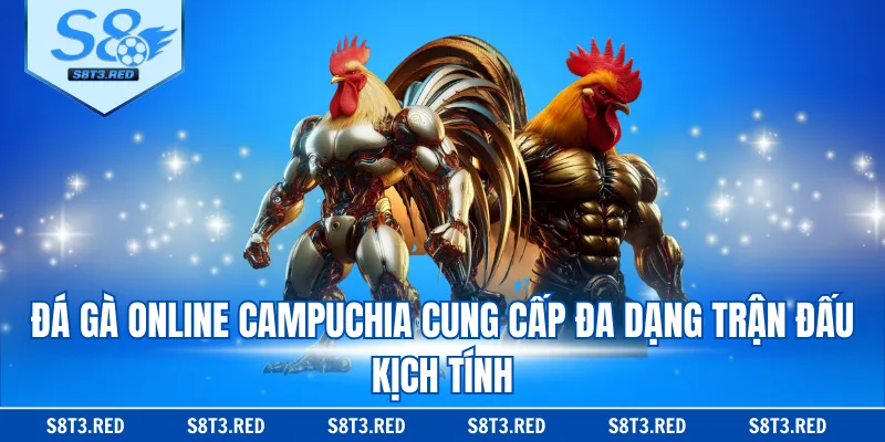 Đá gà online Campuchia cung cấp đa dạng trận đấu kịch tính