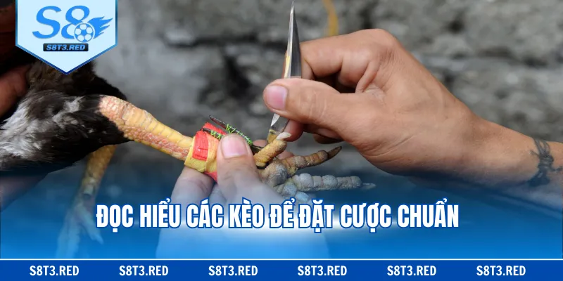 Đọc hiểu các kèo để đặt cược chuẩn