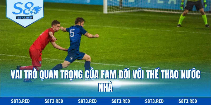 Vai trò quan trọng của FAM đối với thể thao nước nhà